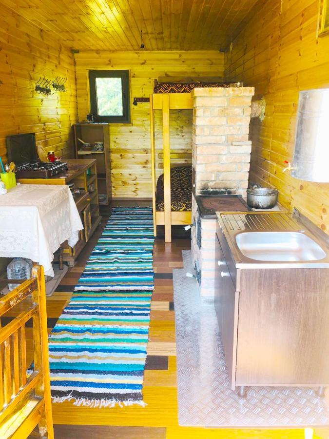 Hotel La Container à Curtea de Argeş Extérieur photo