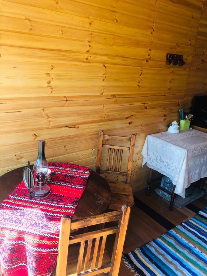 Hotel La Container à Curtea de Argeş Extérieur photo
