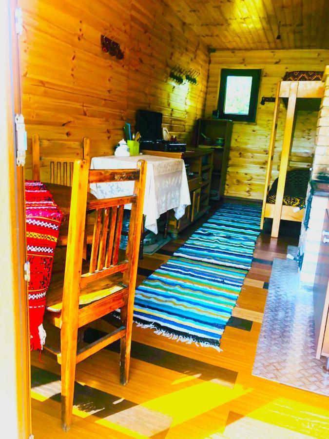 Hotel La Container à Curtea de Argeş Extérieur photo